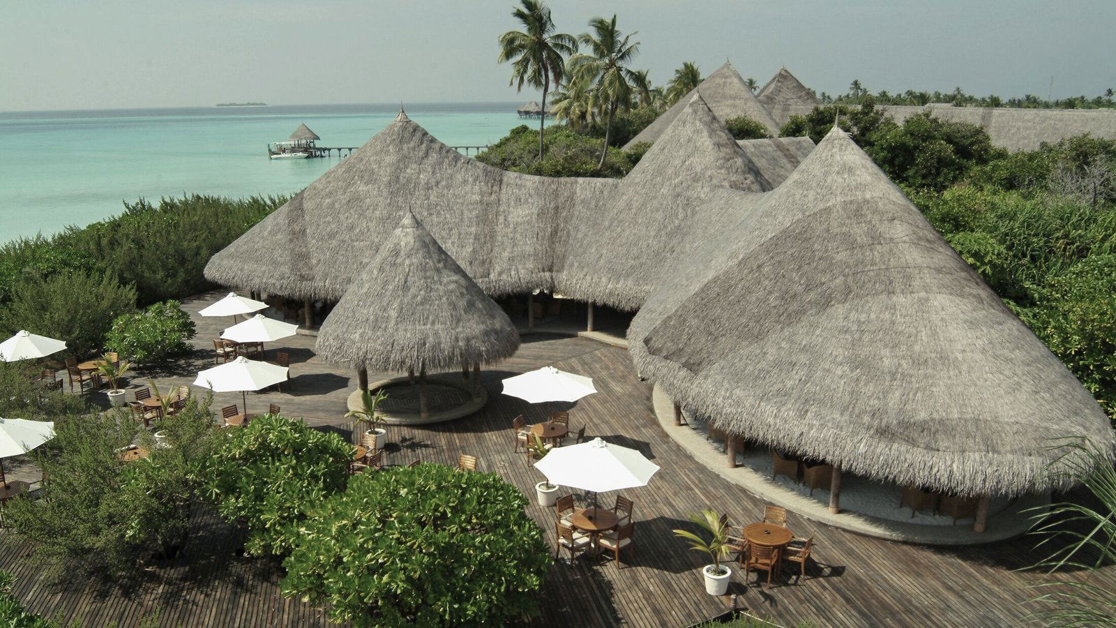 Conch Bar, Bar in Male
