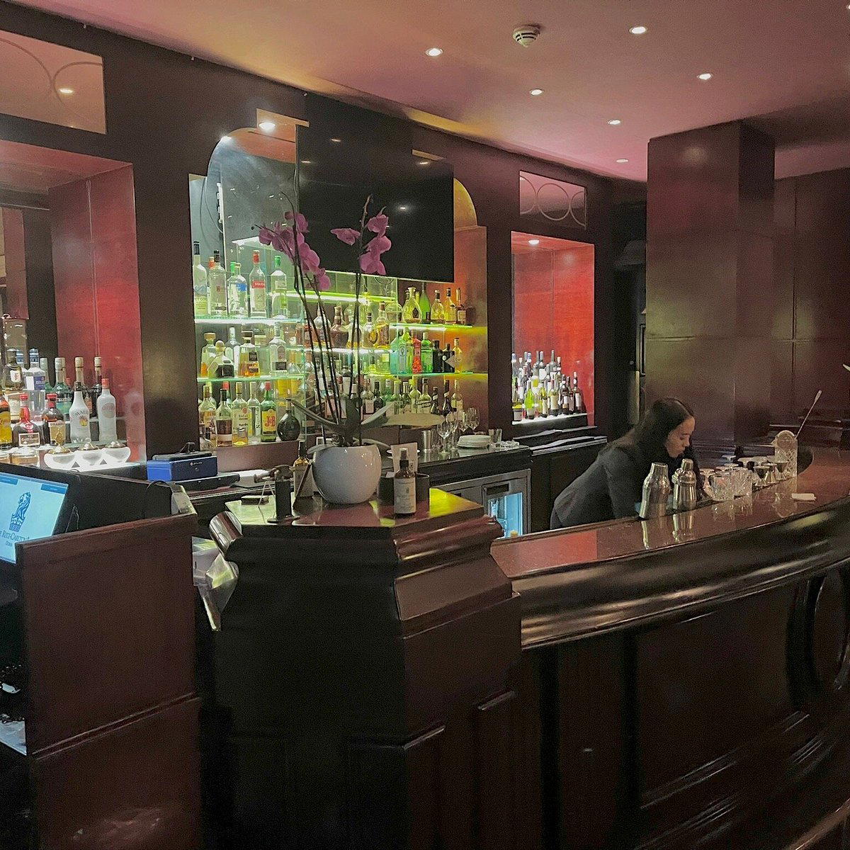 Habanos bar in Doha