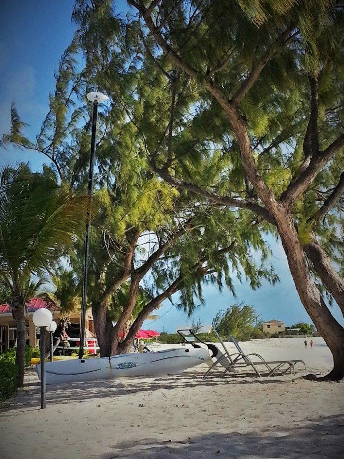 Ike and Donkey Beach Bar bar in Cockburn Town