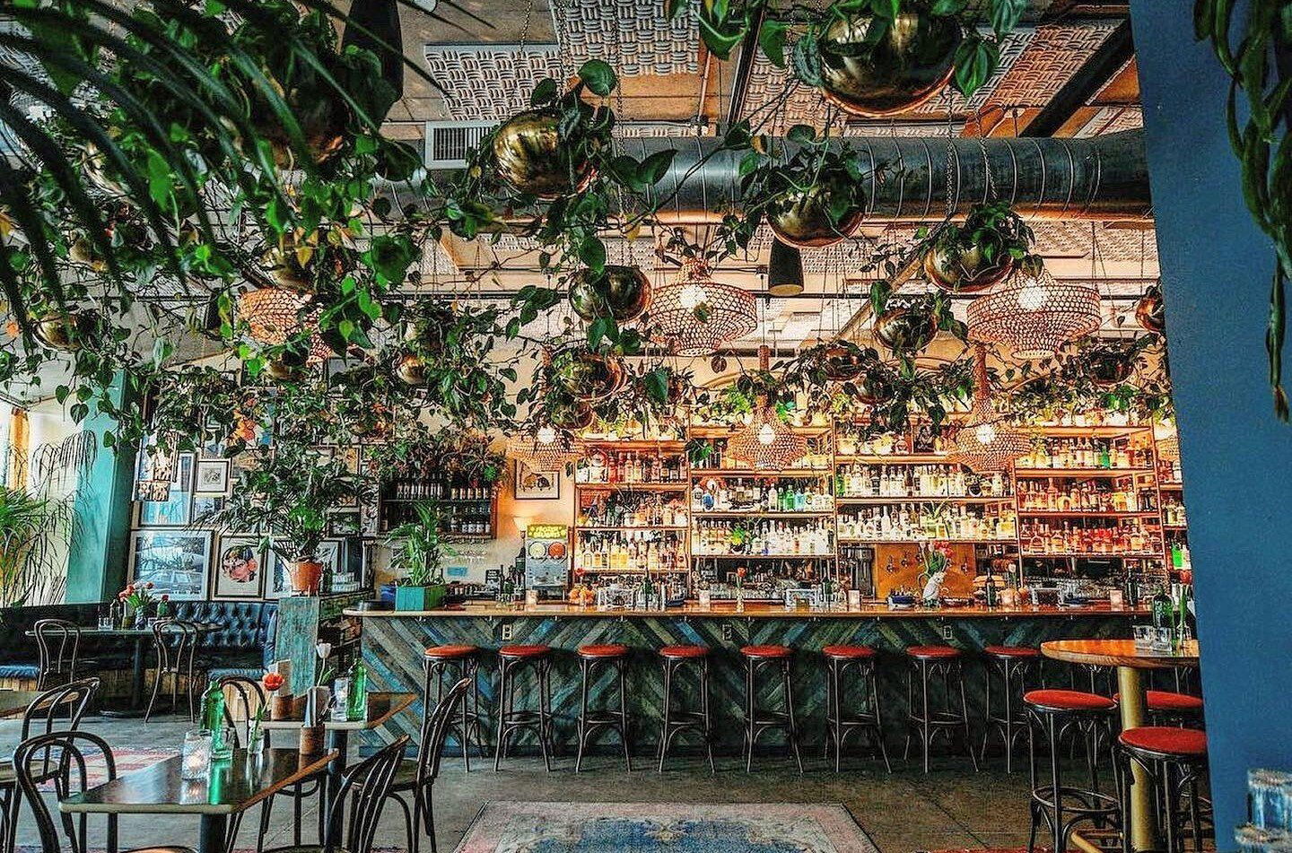 The Observatory, Bar in Portland