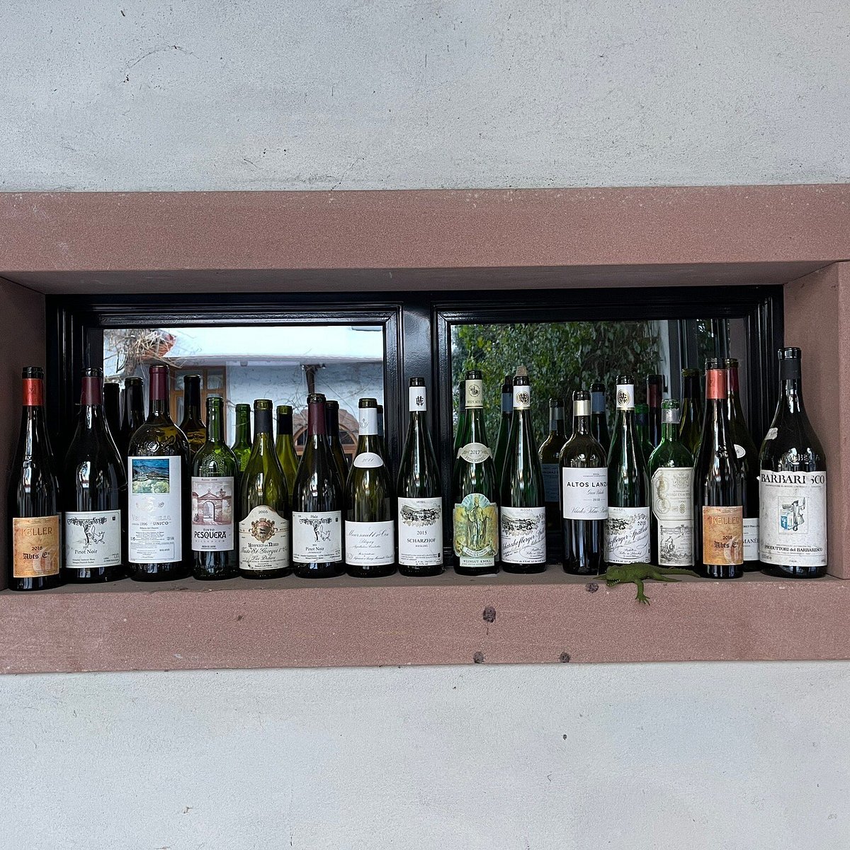 Weinander Heringsdorf