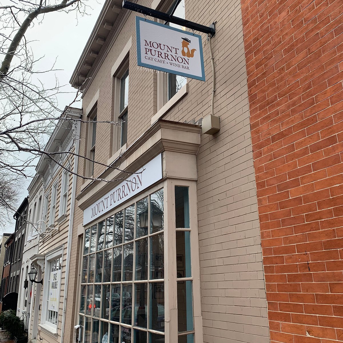 Mount Purrnon Cat Café + Wine Bar, Alexandria, United States