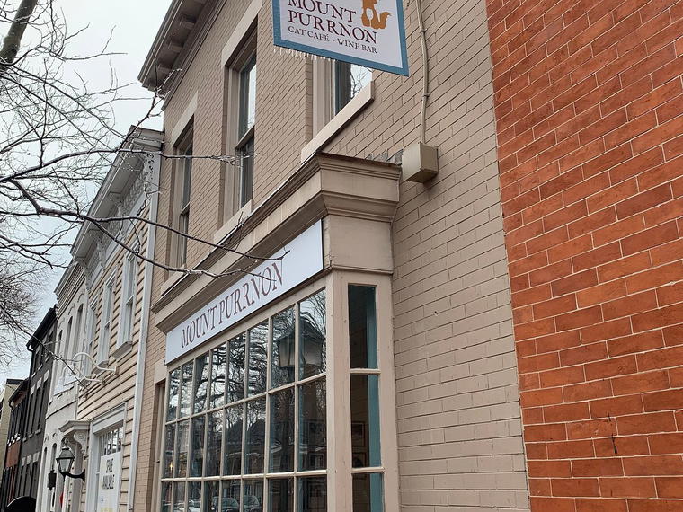 Mount Purrnon Cat Café + Wine Bar, Alexandria, United States