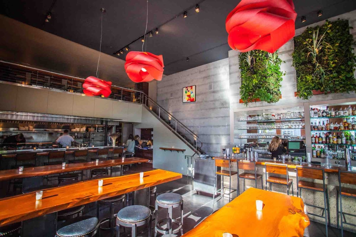 Maven bar in San Francisco, United States