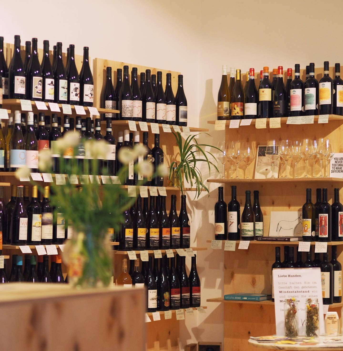 Die Vinothek Wein & Bar, Bar in Vienna