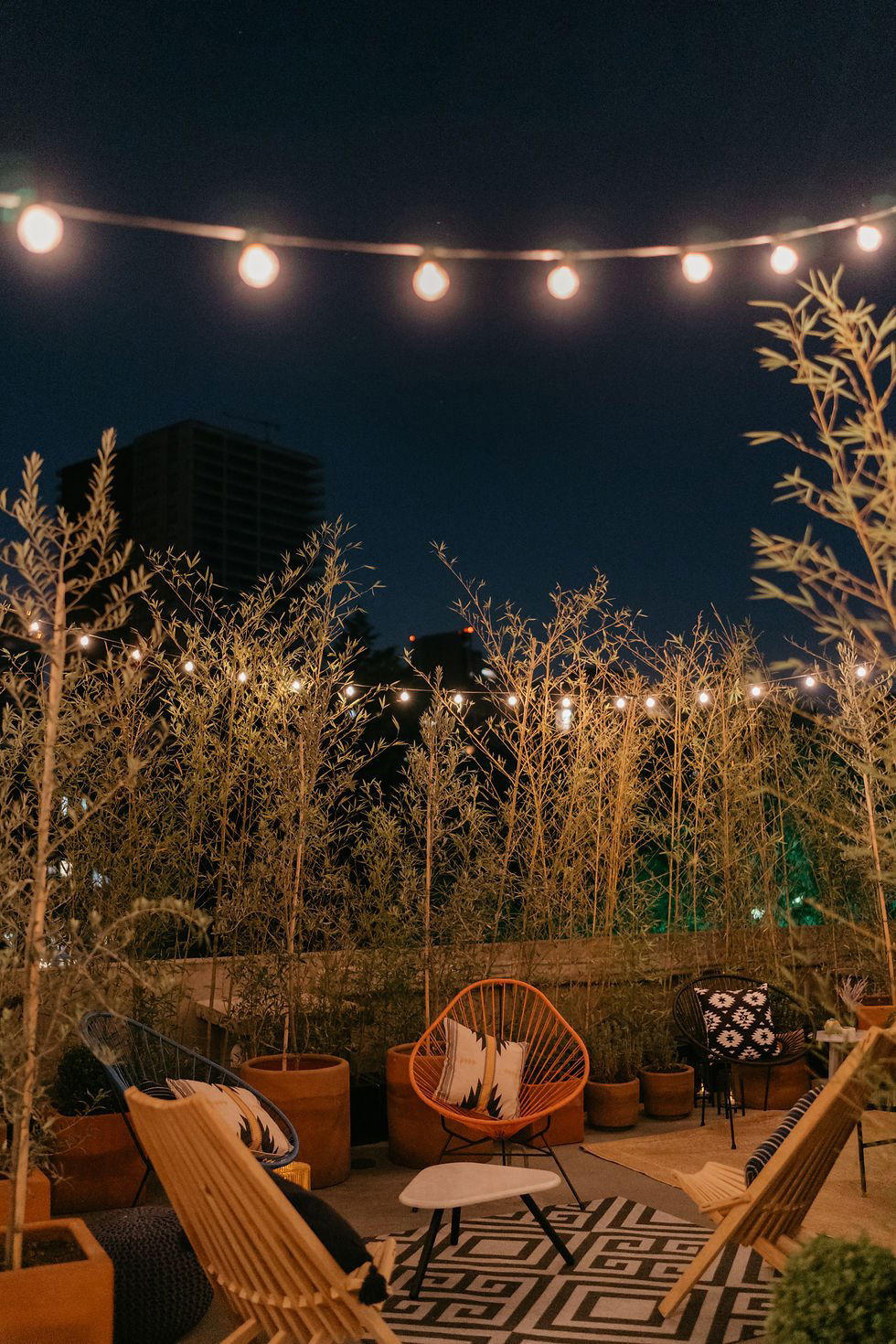 Wild Roof, Bar in Mexico City