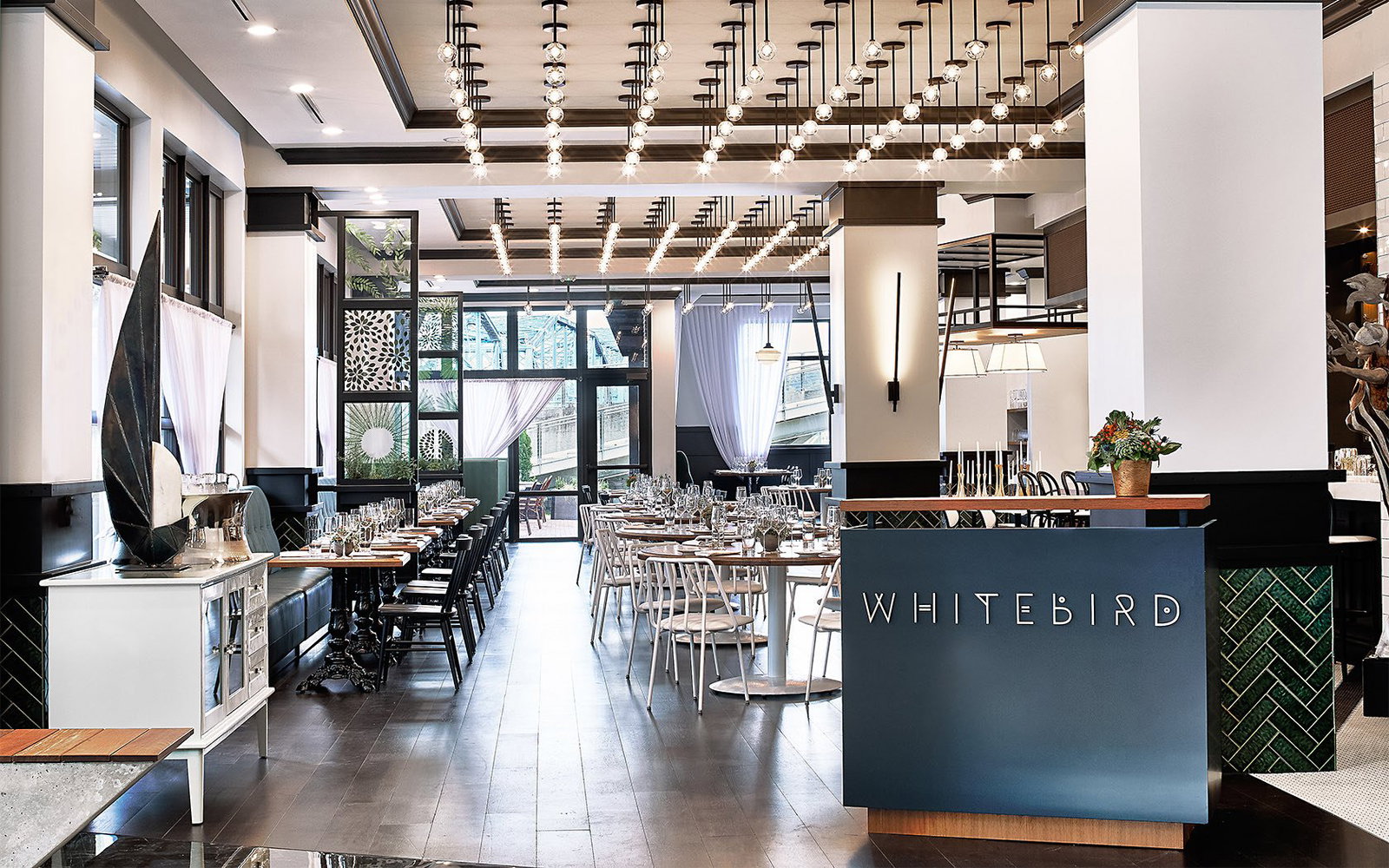 Whitebird, Chattanooga, United States
