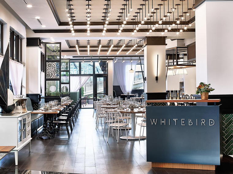 Whitebird, Chattanooga, United States