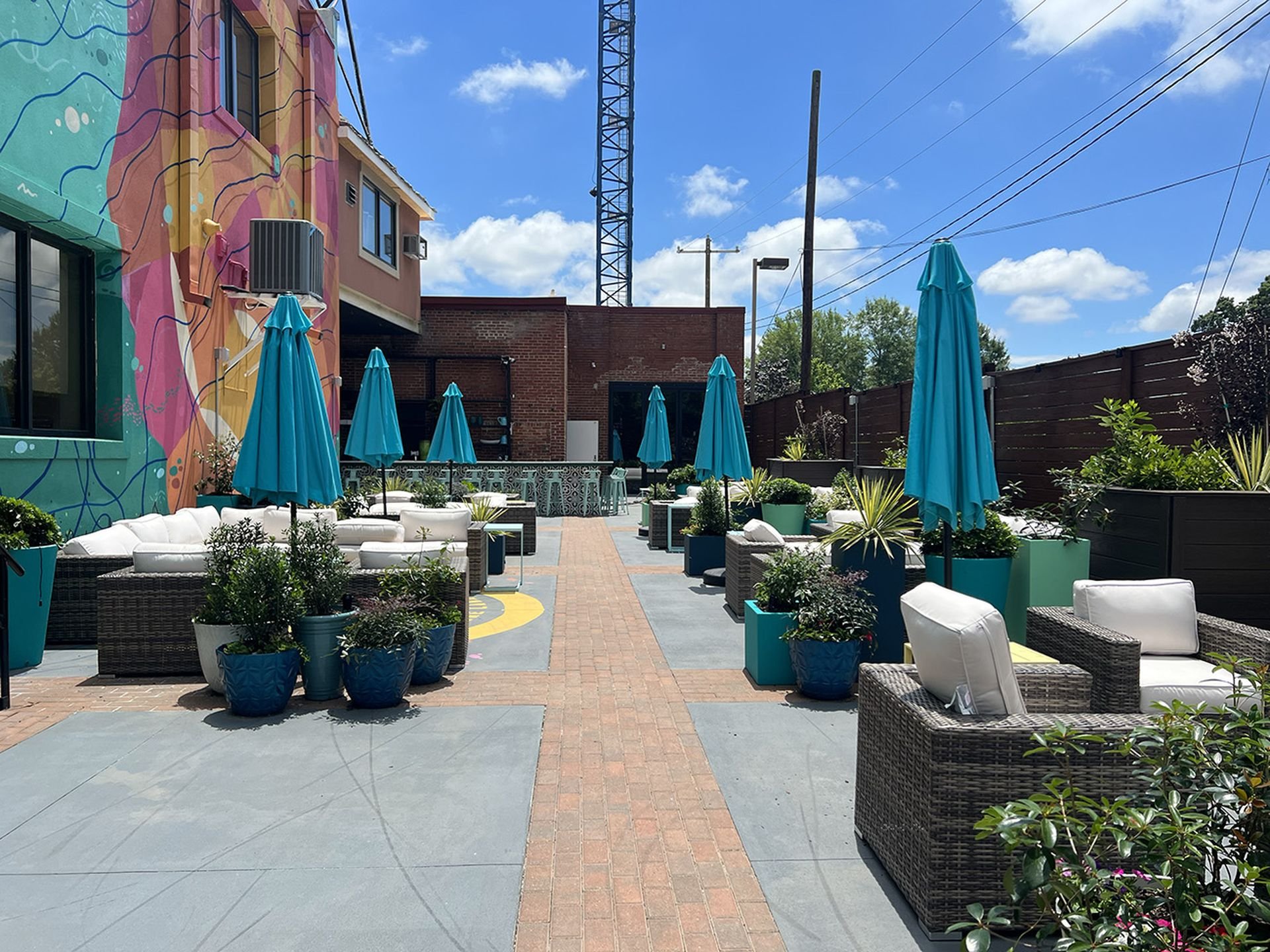 Canopy Cocktails & Garden bar in Charlotte, United States