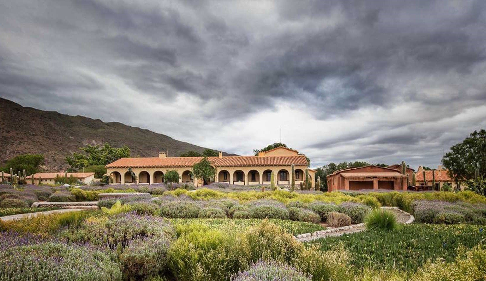 Colomé Winery bar in Molinos, Argentina