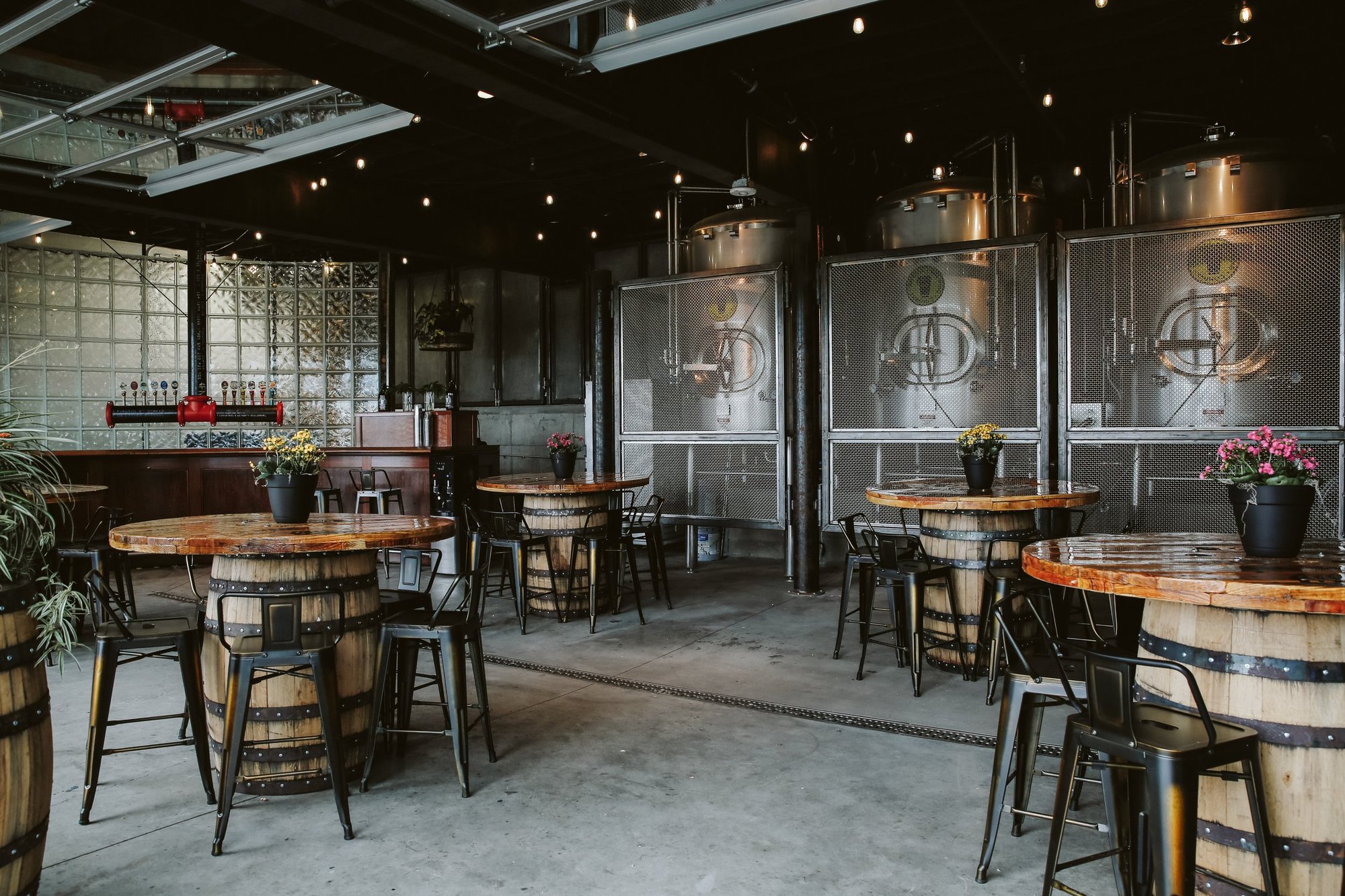 Ivywild School bar in Colorado Springs
