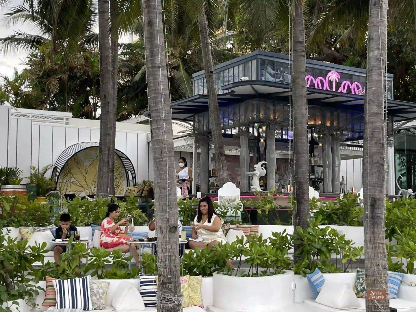 CoCco bar