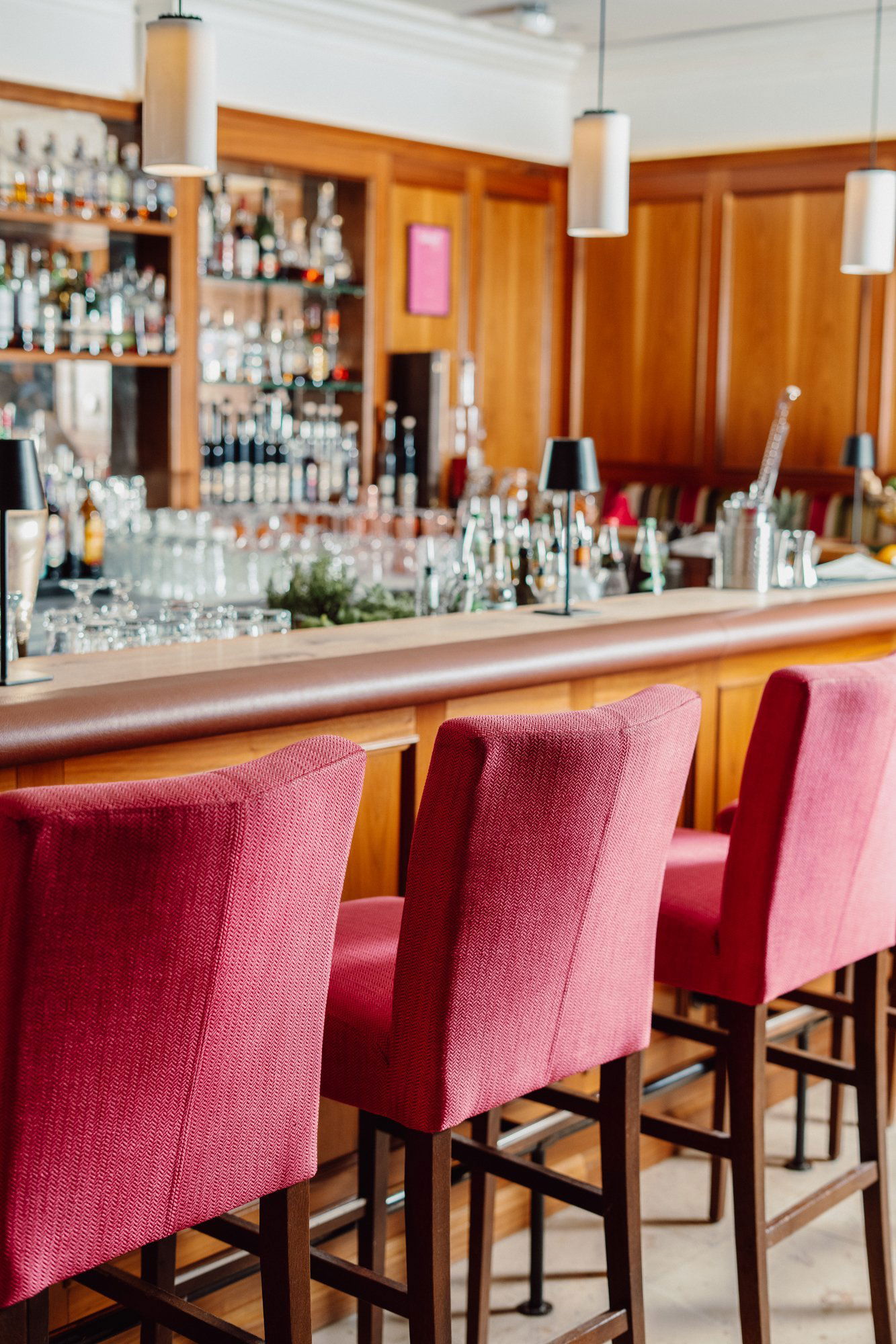Eisvogel Bar, Bar in Bad Gogging