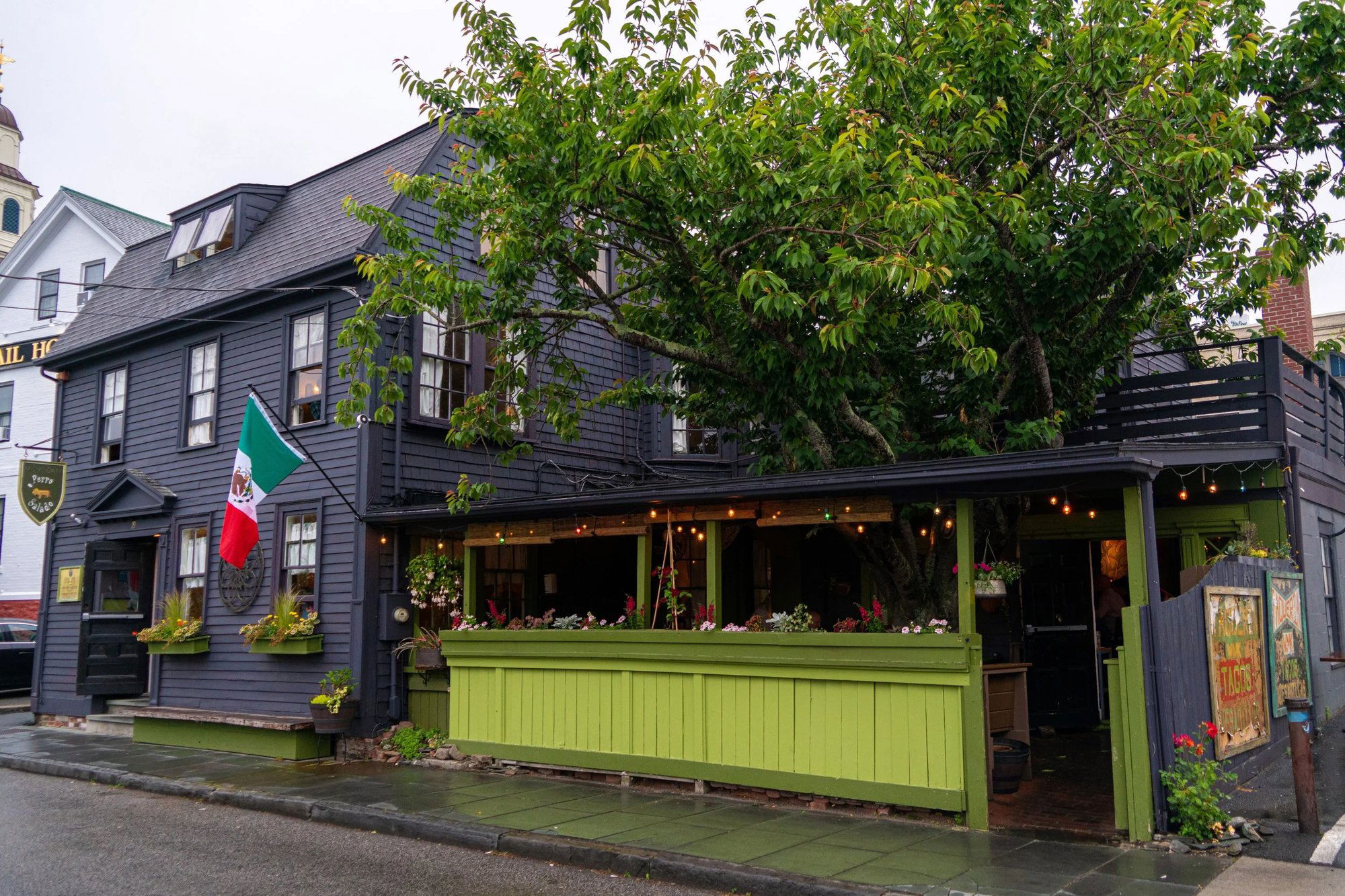 Perro Salado, Bar in Newport