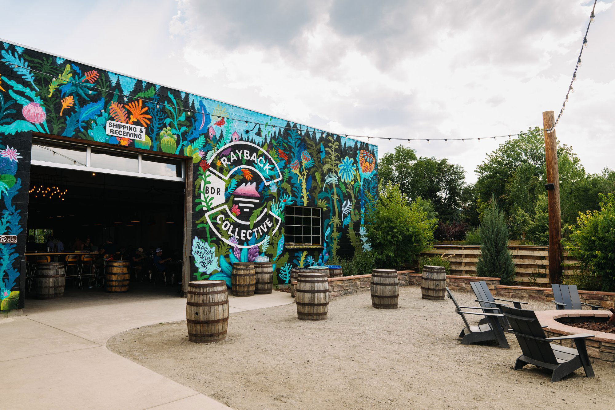 Rayback Collective, Bar in Boulder