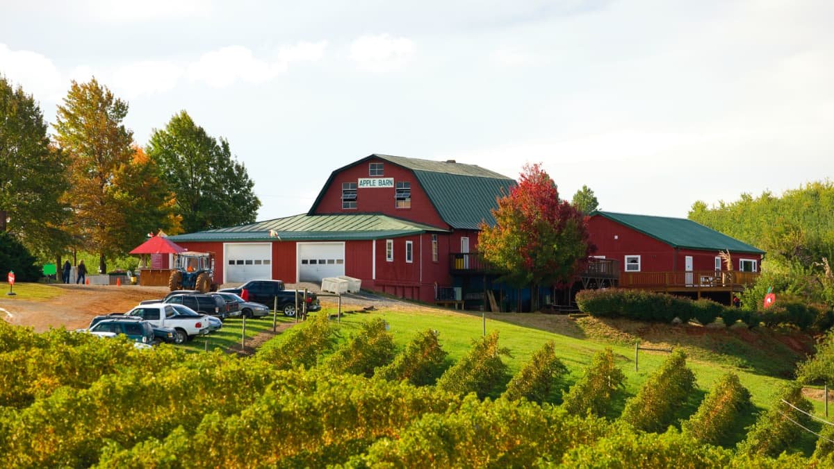 Carter Mountain Orchard and Country Store bar in Albemarle County, United States