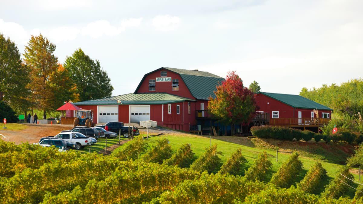 Carter Mountain Orchard and Country Store bar in Charlottesville