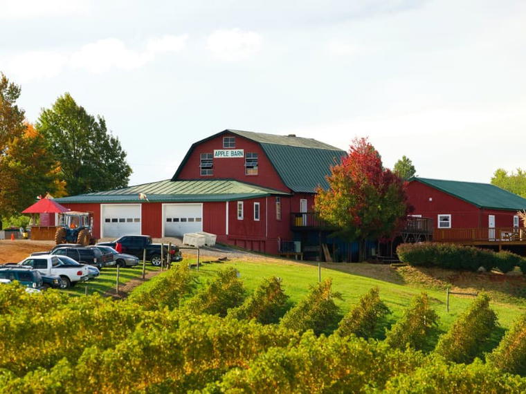 Carter Mountain Orchard and Country Store, Charlottesville, United States