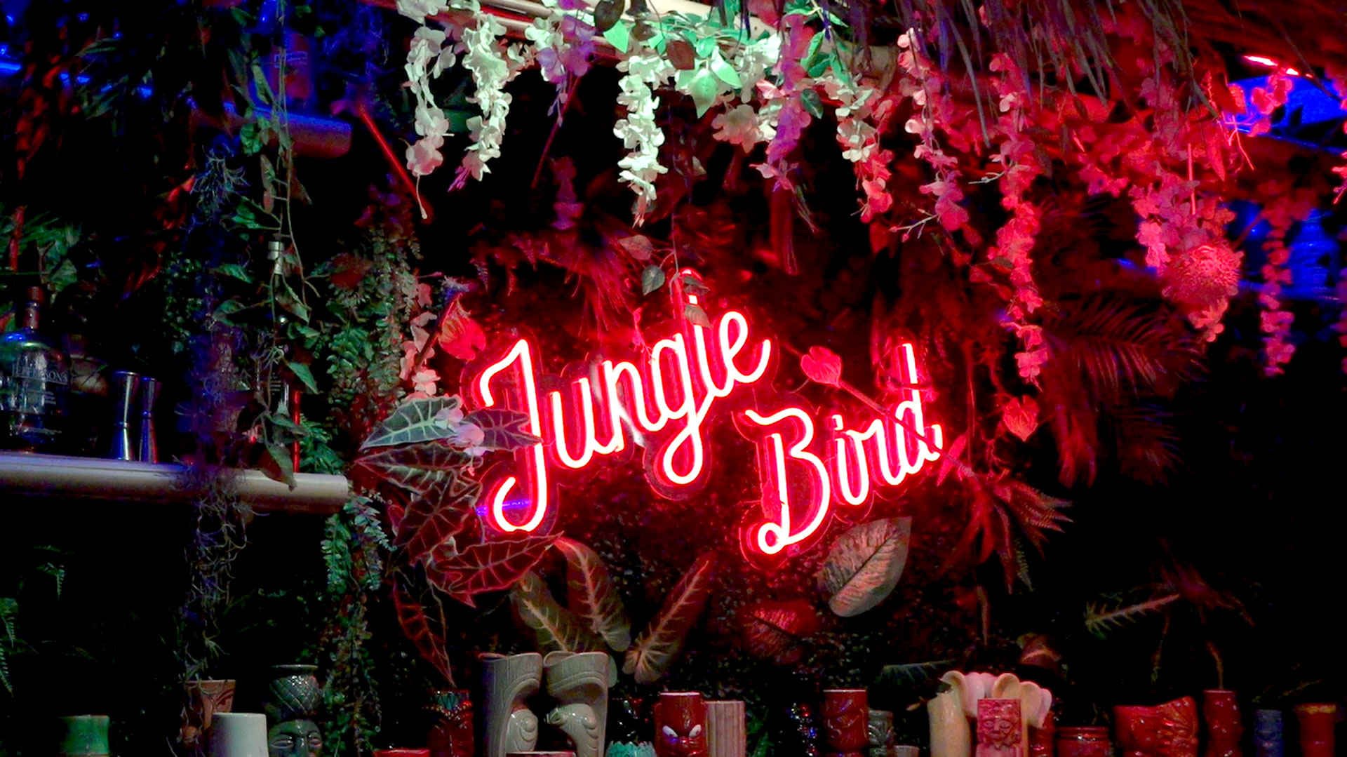 Jungle Bird Tiki bar in Cape Coral, United States