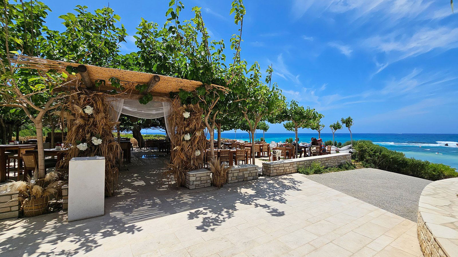 Kohili Bar, Bar in Paphos