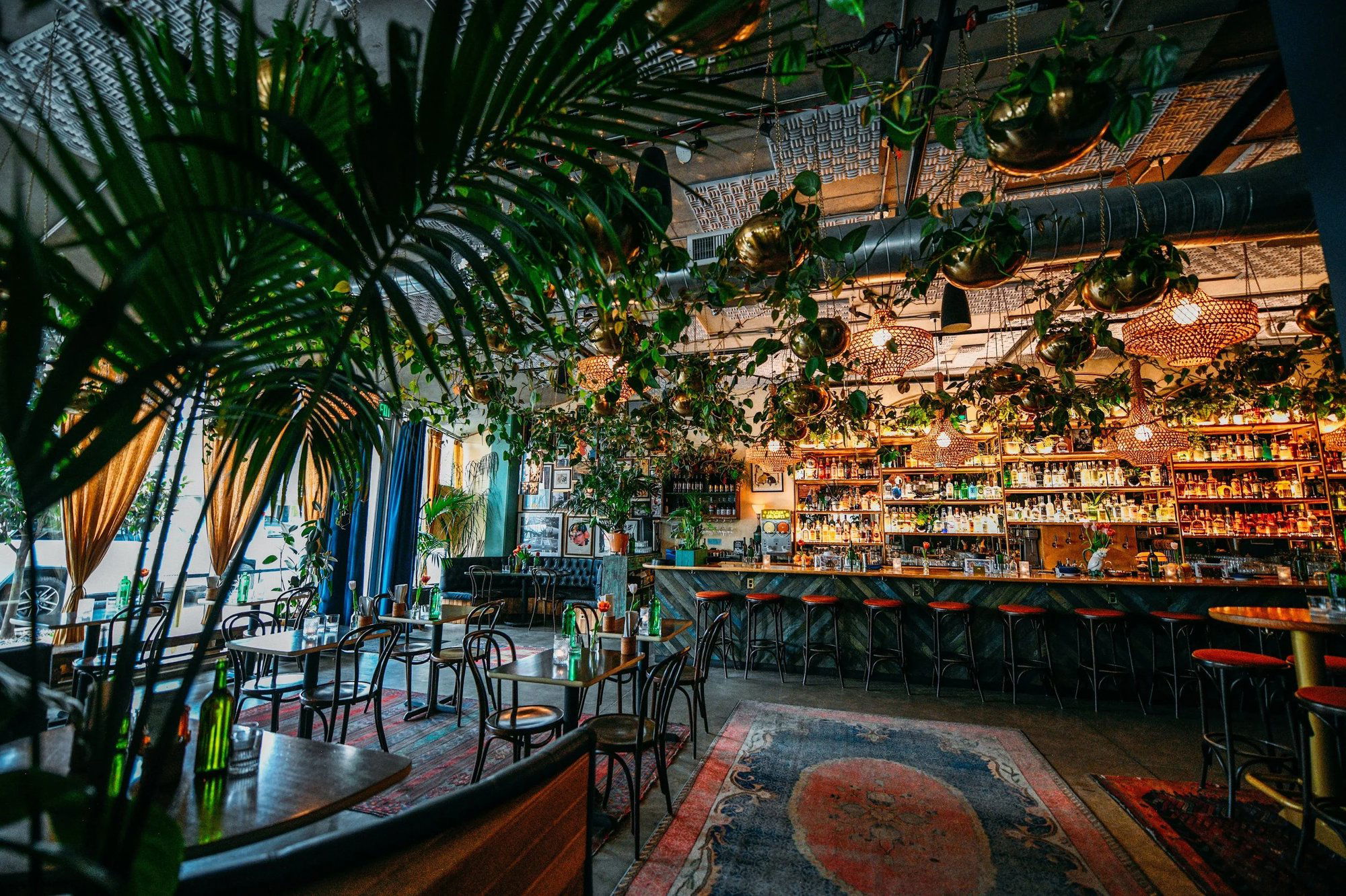 Hey Love, Bar in Portland
