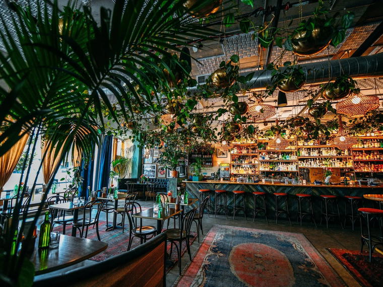 Hey Love, Portland, United States