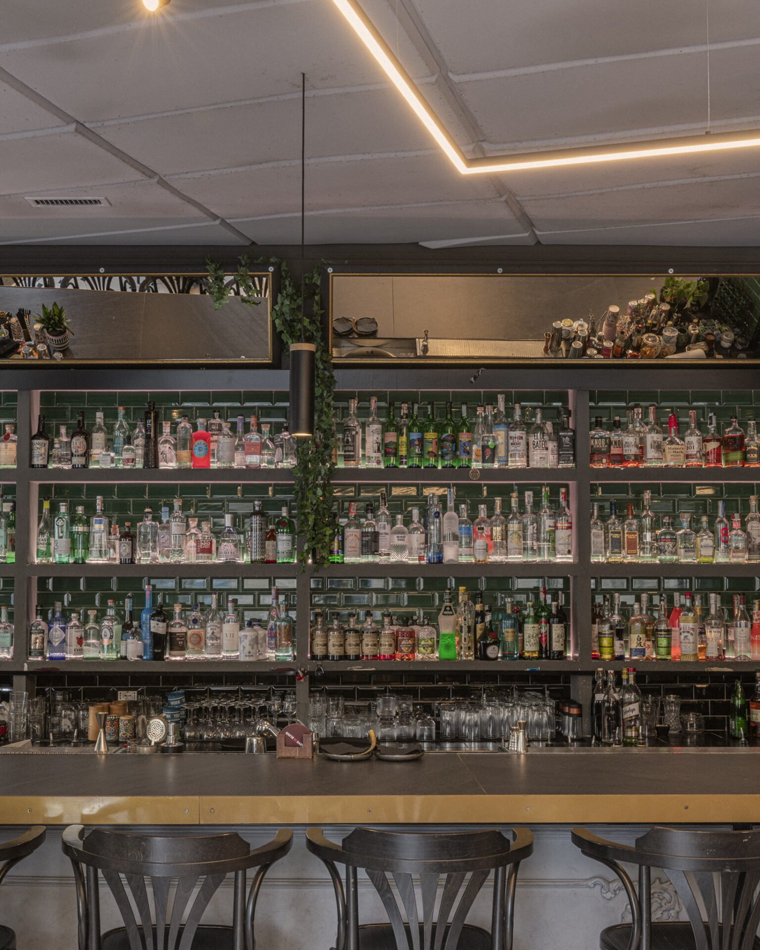 Blind Pig bar in Rome