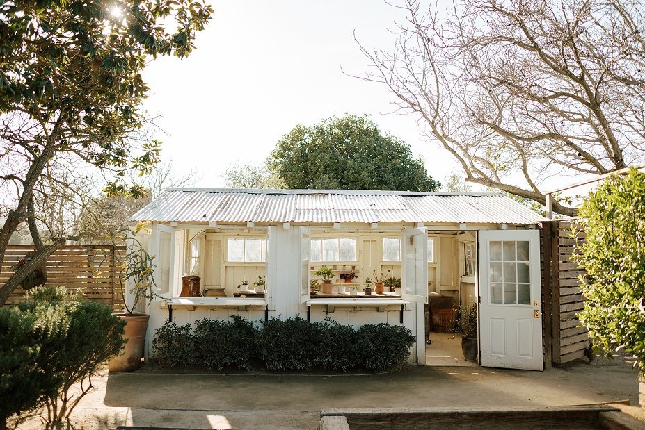 Bodega Los Alamos