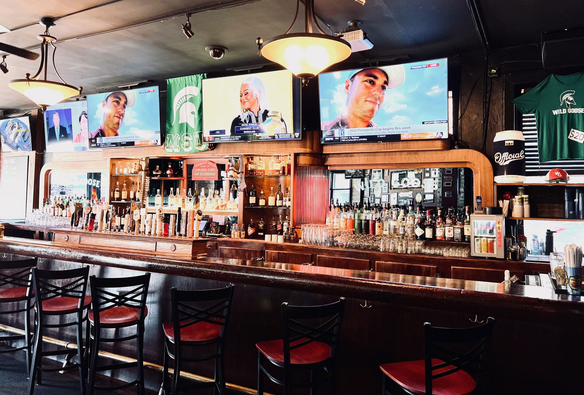 Wild Goose Bar & Grill, Bar in Chicago