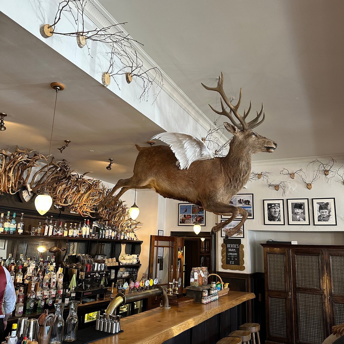The Flying Stag
