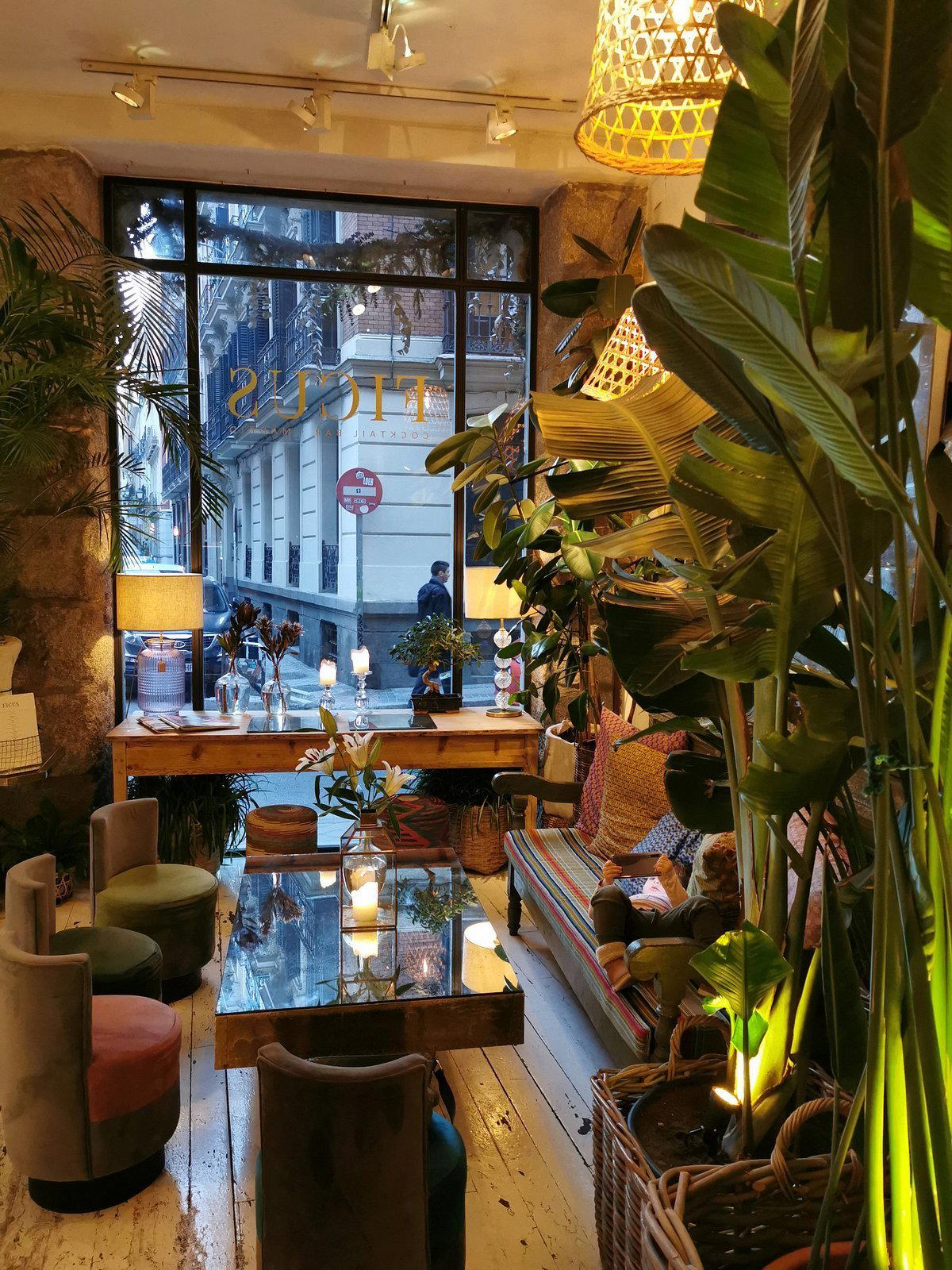 Ficus Bar, Madrid, Spain
