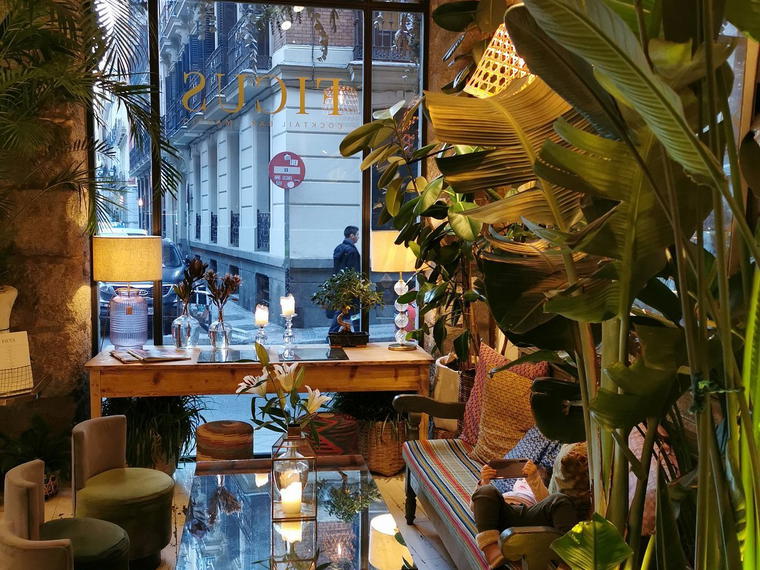 Ficus Bar, Madrid, Spain