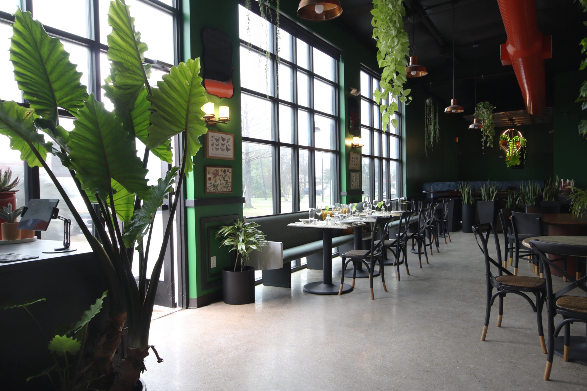 Cafe Americana bar in Arlington, United States