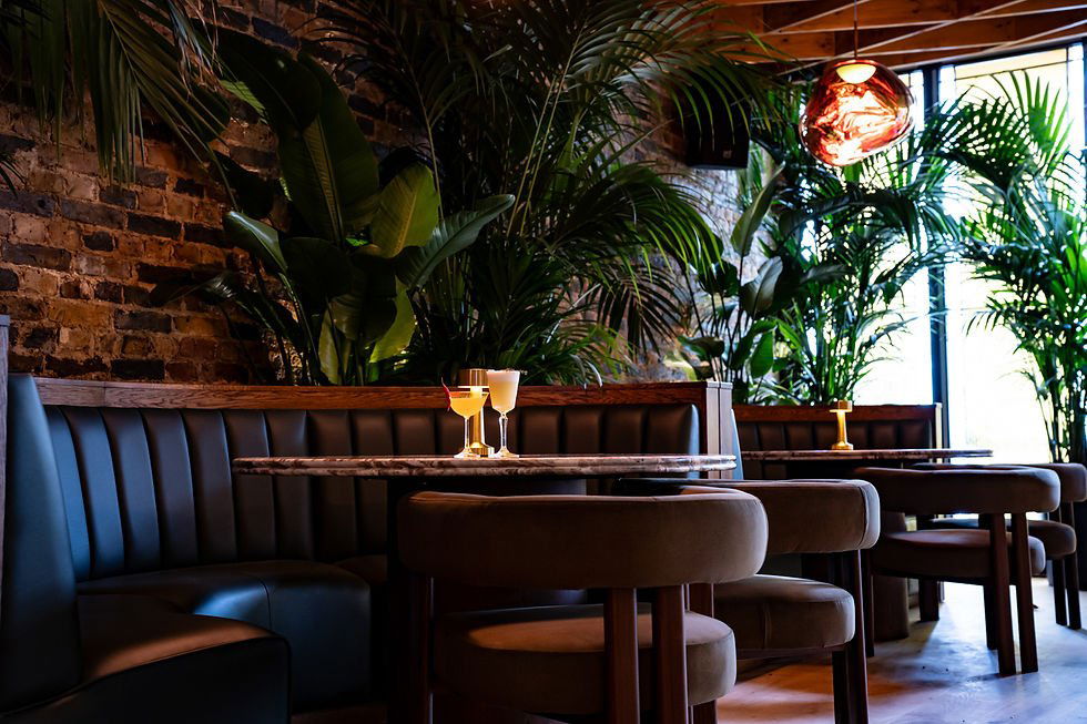 Mimosa Garden Bar, Bar in Barcelona