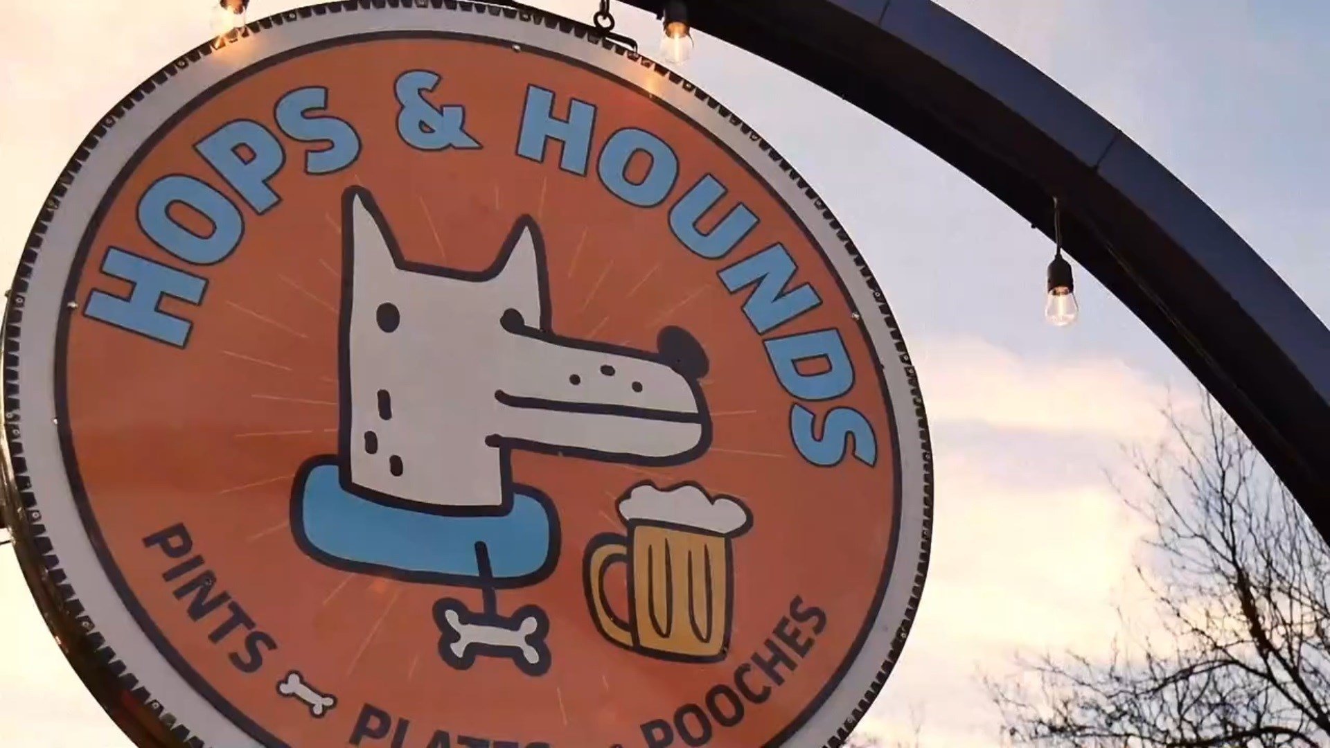 Hops & Hounds bar in San Antonio
