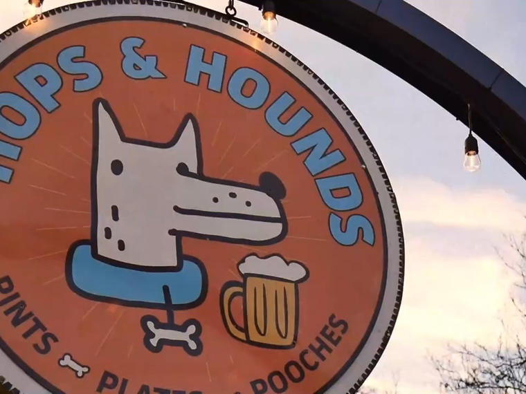 Hops & Hounds, San Antonio, United States
