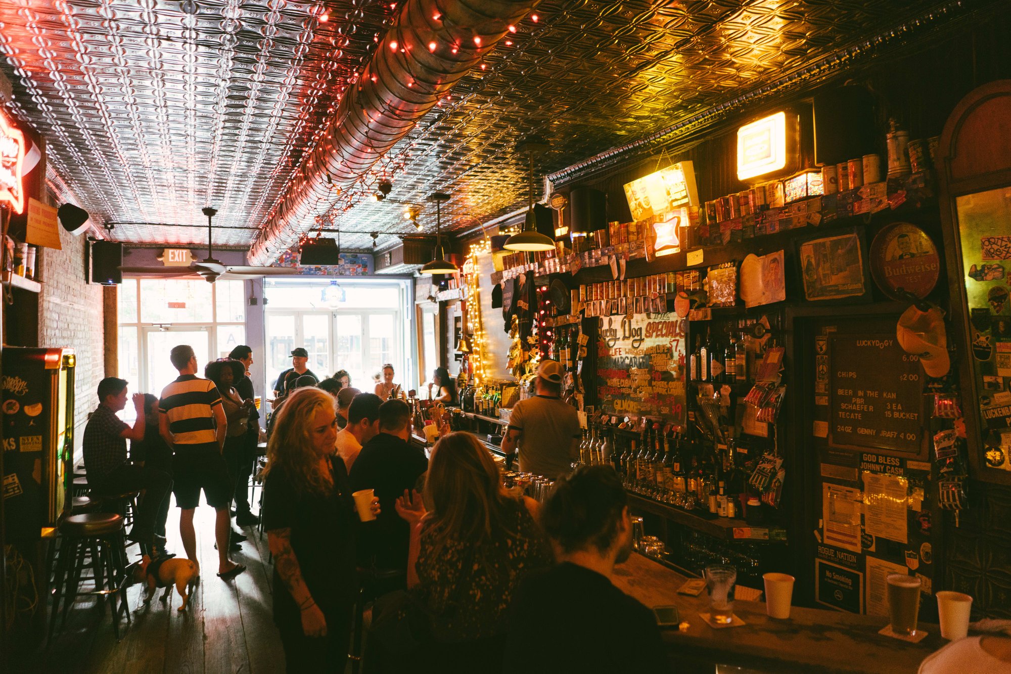 Lucky Dog, Bar in New York City