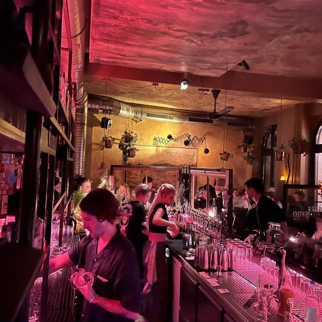 Herr Lindemann, Bar in Berlin