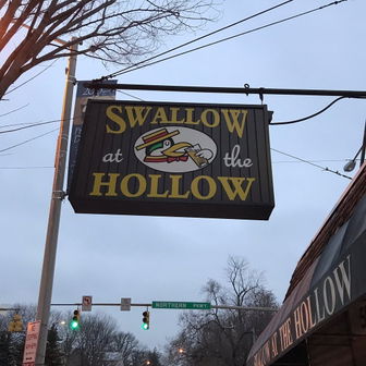 Swallow at the Hollow