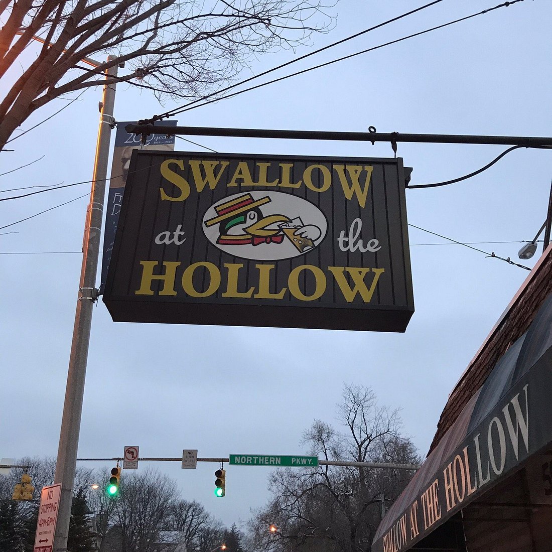 Swallow at the Hollow