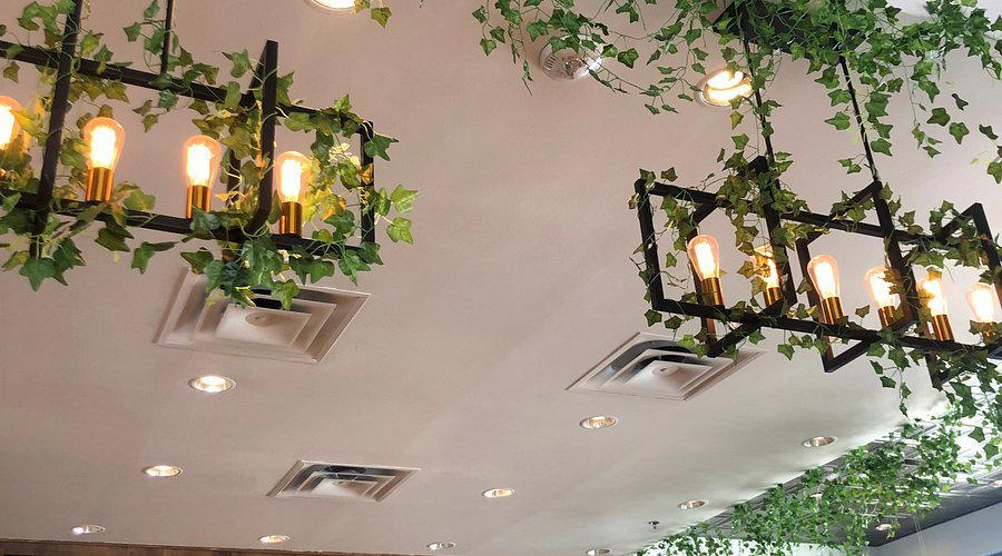 Egg Bar Brunch & Bar bar in Arlington, United States