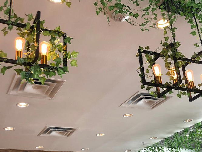 Egg Bar Brunch & Bar, Arlington, United States