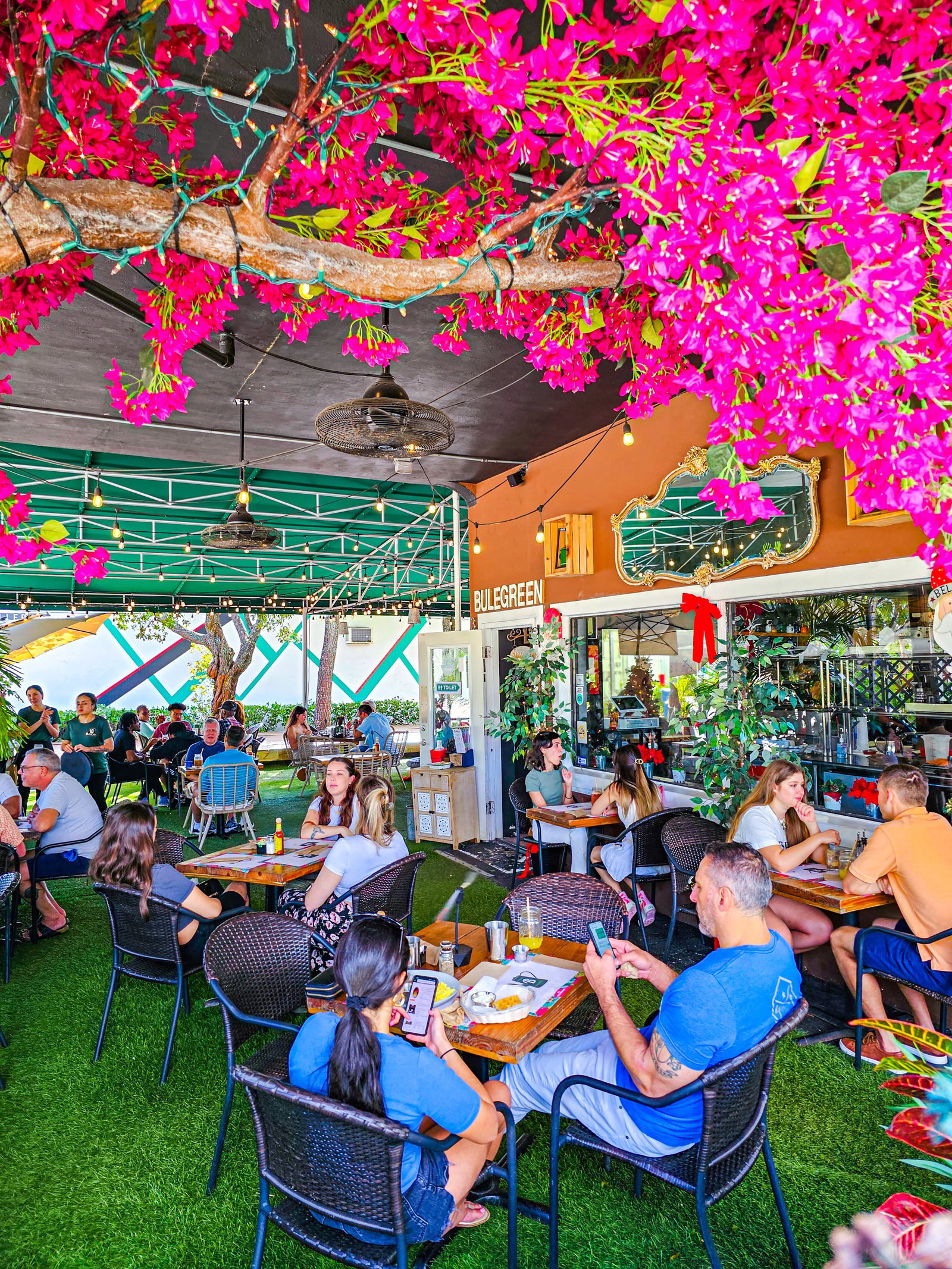 Bulegreen Cafe Yard, Oakland Park, United States
