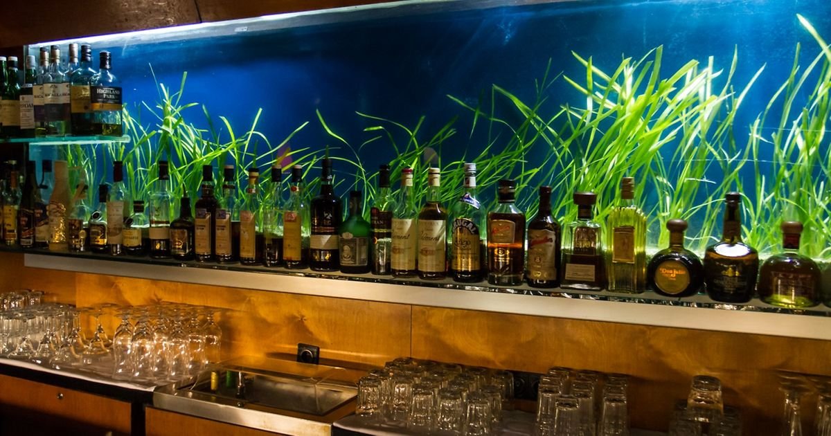 First Floor, Bar in Vienna