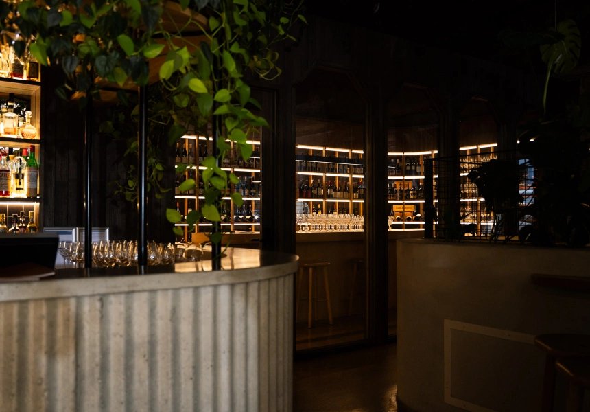 Canopy Bar, Bar in Perth