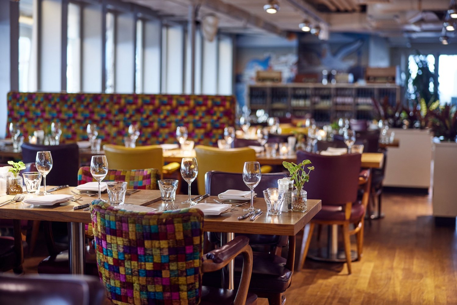 Lido Terrace, Bar in Rotterdam