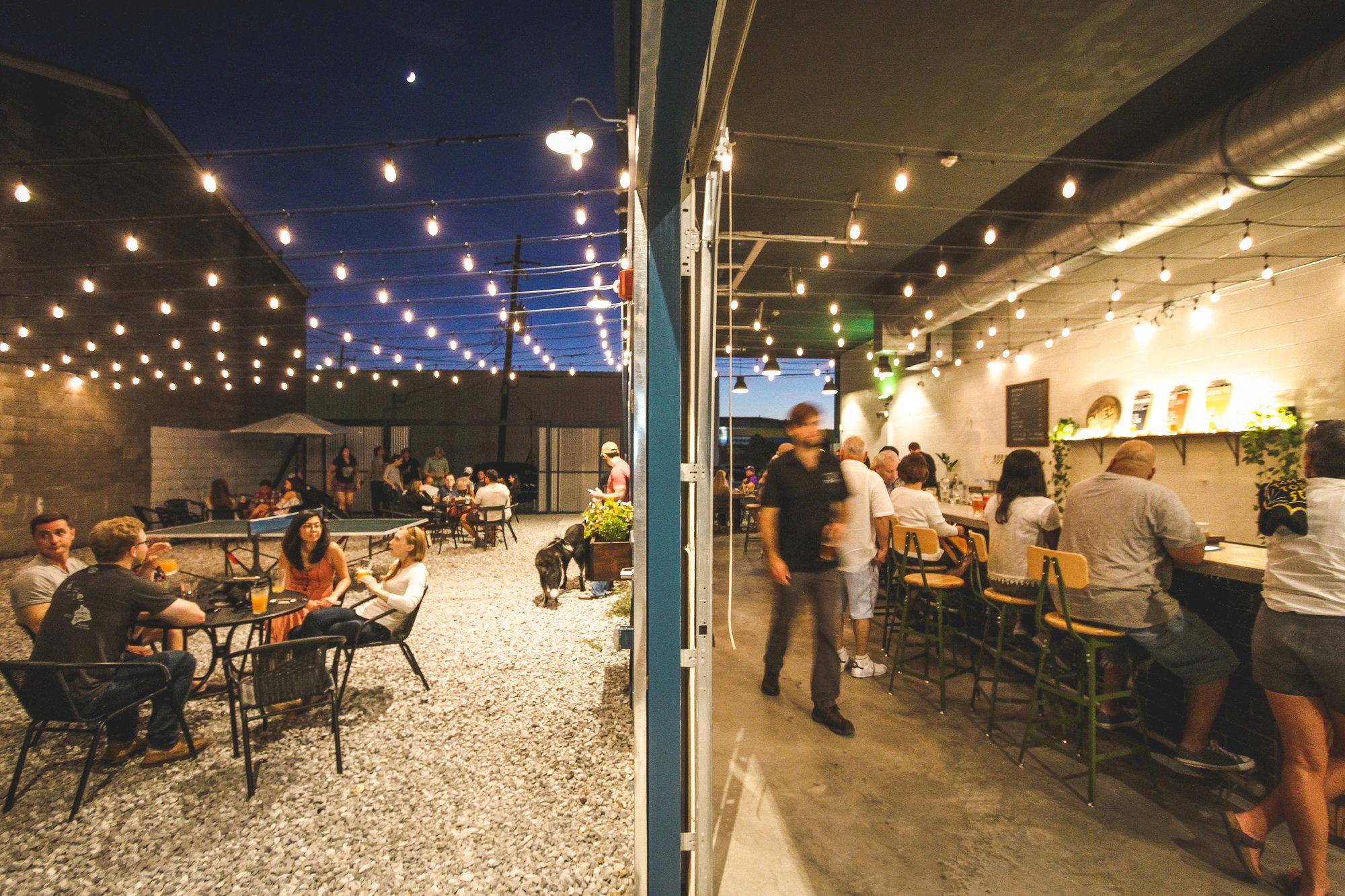 Miel Brewery & Taproom bar in New Orleans, United States