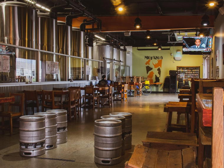 Metazoa Brewing Company, Indianapolis, United States