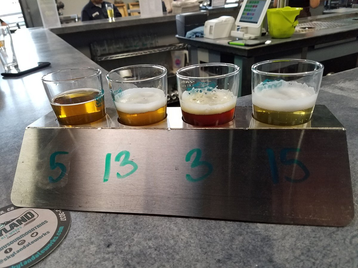 Skyland Ale Works, Corona, United States