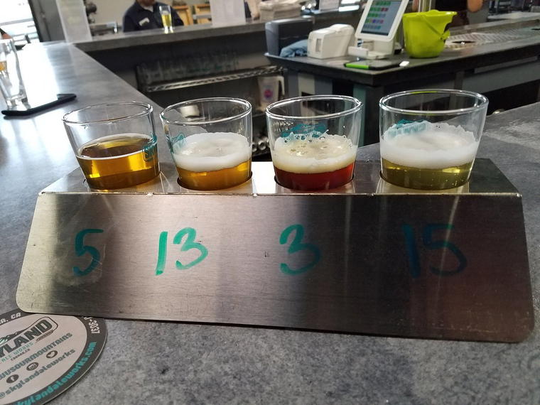Skyland Ale Works, Corona, United States